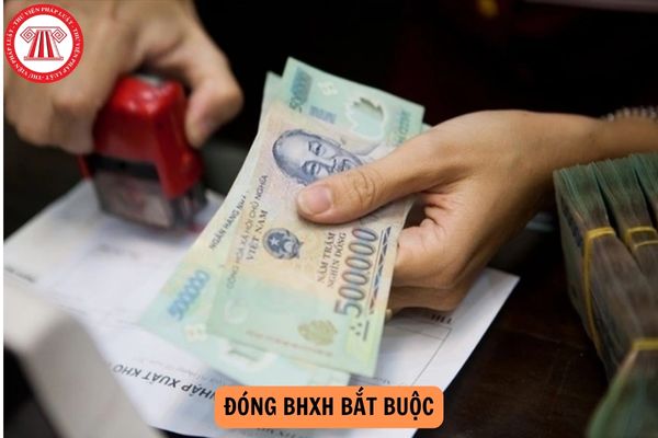 Từ 01/7/2025, đóng thừa năm đóng BHXH bắt buộc để nghỉ hưu sớm được không?