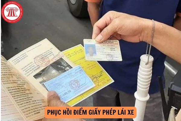 Nội dung bài kiểm tra để được phục hồi điểm giấy phép lái xe gồm những gì (Đề xuất)?