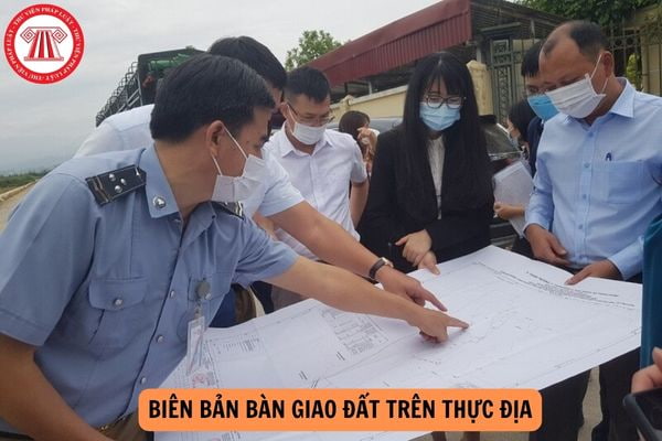 Mẫu Biên bản bàn giao đất trên thực địa từ 01/8/2024?