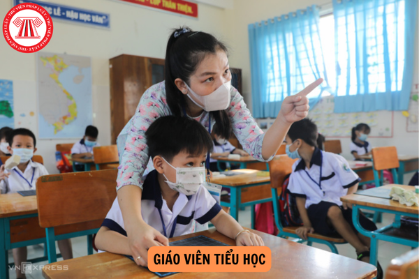 Tổng hợp tiêu chuẩn chức danh nghề nghiệp giáo viên tiểu học mới nhất 2024?