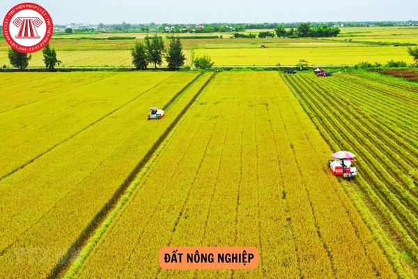 Có được nhận góp vốn để tích tụ đất nông nghiệp được không?