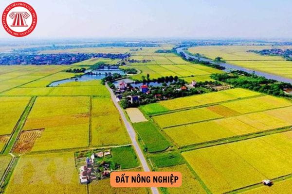 Người sử dụng đất được xây nhà trên đất nông nghiệp được không?