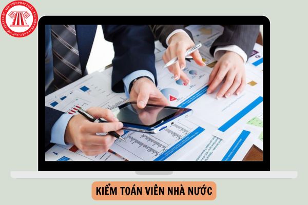 Kiểm toán viên nhà nước không được làm tư vấn, môi giới cho các doanh nghiệp trong nước về những công việc nào?