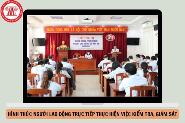 Theo Luật Thực hiện dân chủ ở cơ sở, ngoài hình thức người lao động trực tiếp thực hiện việc kiểm tra, giám sát tại doanh nghiệp nhà nước thì pháp luật còn quy định hình thức nào khác?