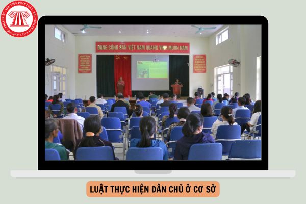 Theo Luật Thực hiện dân chủ ở cơ sở, thông qua việc kiểm tra, giám sát, công dân có quyền nào khi phát hiện ra hành vi, nội dung có dấu hiệu vi phạm?