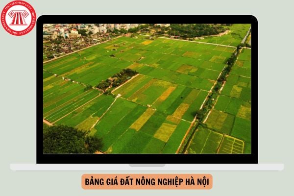 Bảng giá đất nông nghiệp Hà Nội cập nhật mới nhất năm 2024?