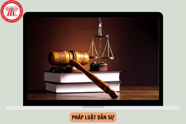 Pháp luật dân sự điều chỉnh các quan hệ xã hội nào?