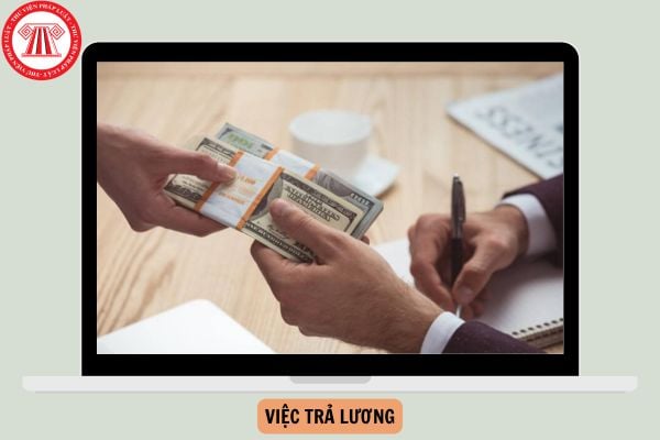 Việc trả lương được thực hiện dựa trên những nguyên tắc nào? Có bao nhiêu loại và hình thức trả lương?