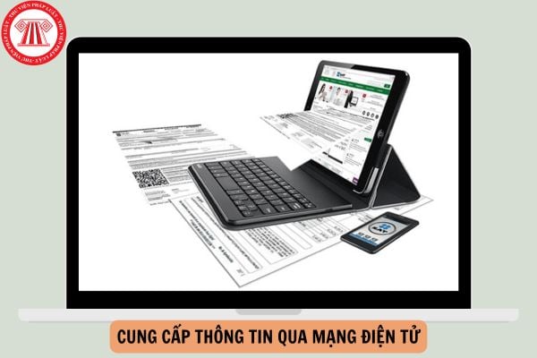 Theo Luật Tiếp cận thông tin, việc cung cấp thông tin qua mạng điện tử được thực hiện khi có đủ các điều kiện nào?