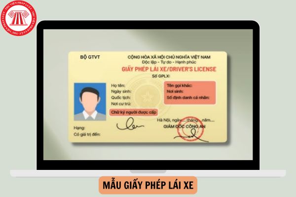 Đề xuất 02 mẫu Giấy phép lái xe mới từ 01/01/2025?