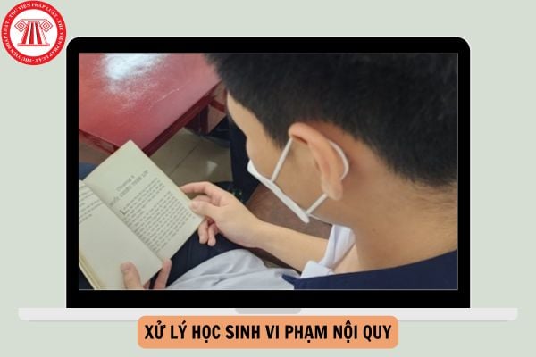 Quy trình xử lý học sinh vi phạm nội quy nhà trường năm 2024 - 2025 (THCS, THPT)?