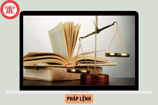 Hỏi đáp Pháp luật
