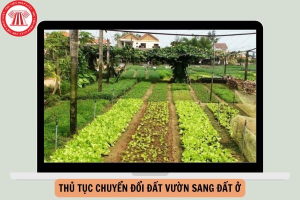 Thủ tục chuyển đổi đất vườn sang đất ở 2024 mới nhất?