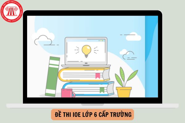 Bộ Đề thi IOE lớp 6 cấp trường có đáp án cập nhật năm 2024?