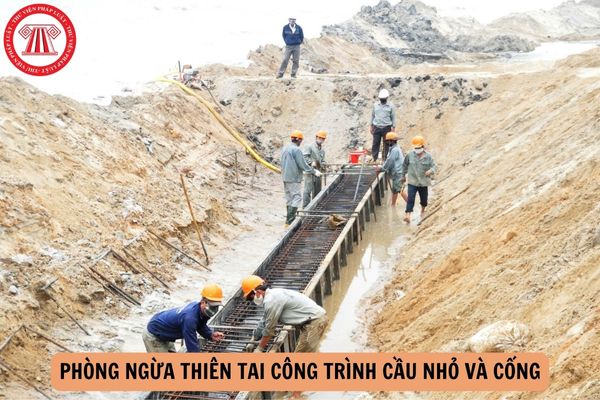 Nhà thầu bảo trì công trình đường bộ có trách nhiệm phòng ngừa thiên tai công trình cầu nhỏ và cống như nào?