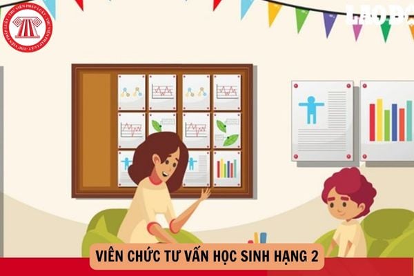 Viên chức tư vấn học sinh hạng 2 có nhiệm vụ gì? Hệ số lương của viên chức tư vấn học sinh hạng 2 là bao nhiêu?