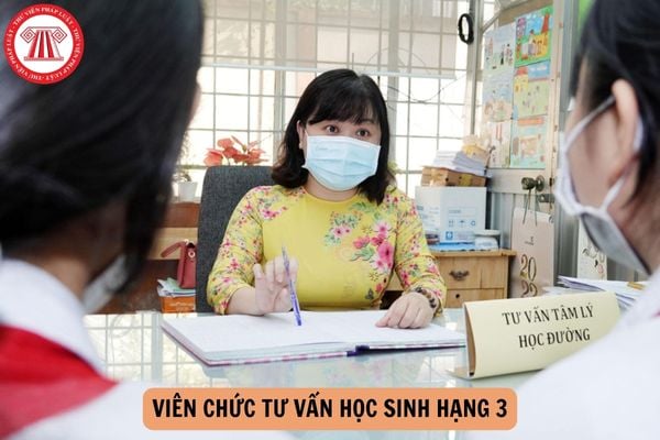 Viên chức tư vấn học sinh hạng 3 phải đáp ứng tiêu chuẩn về trình độ đào tạo, bồi dưỡng như thế nào?