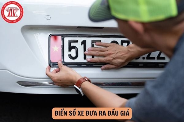 Biển số xe đưa ra đấu giá là những biển số nào?