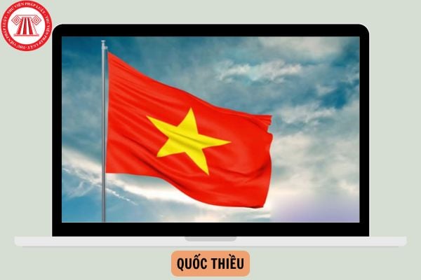 Quốc thiều là gì? Quy định về việc sử dụng Quốc thiều như thế nào?