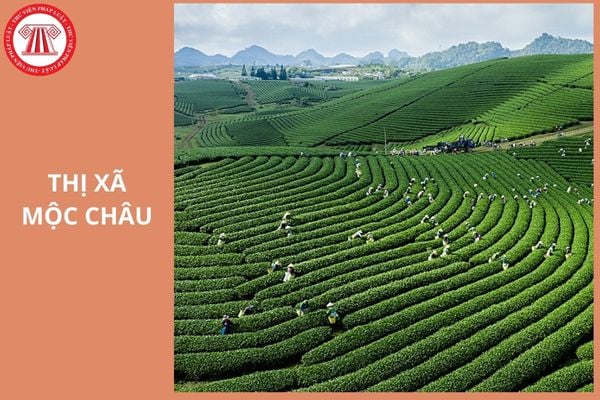 Thị xã Mộc Châu tỉnh Sơn La đổi thành gì sau sáp nhập 2025?