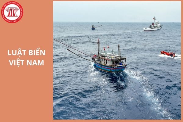 Hỏi đáp Pháp luật