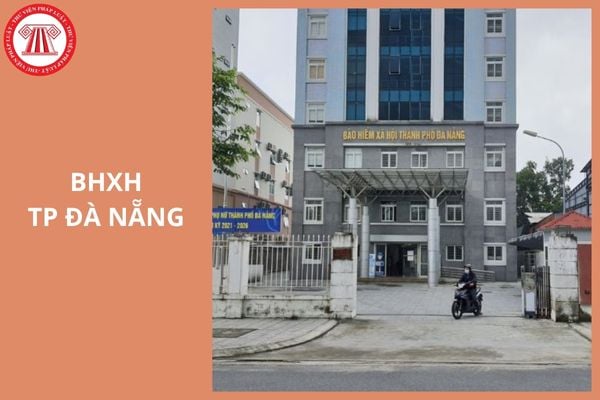 Hỏi đáp Pháp luật