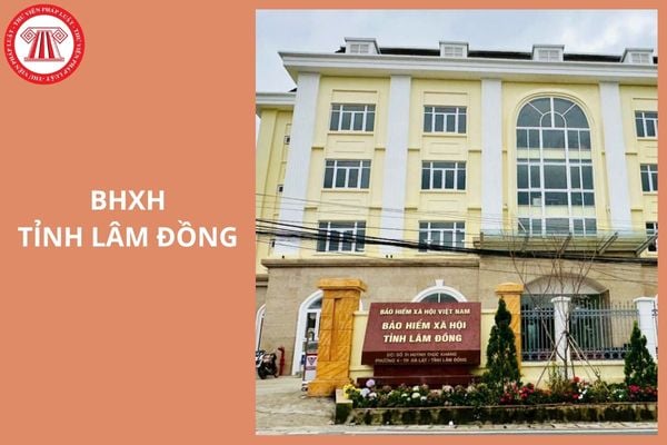 Hỏi đáp Pháp luật