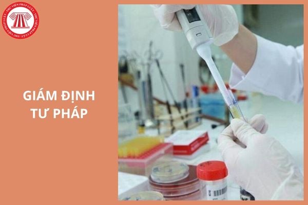 Hỏi đáp Pháp luật