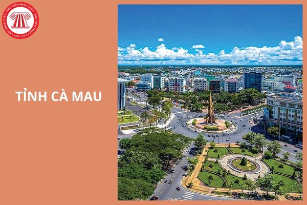 Diện tích tỉnh Cà Mau sau khi thực hiện sắp xếp đơn vị hành chính cấp tỉnh năm 2025 là bao nhiêu?