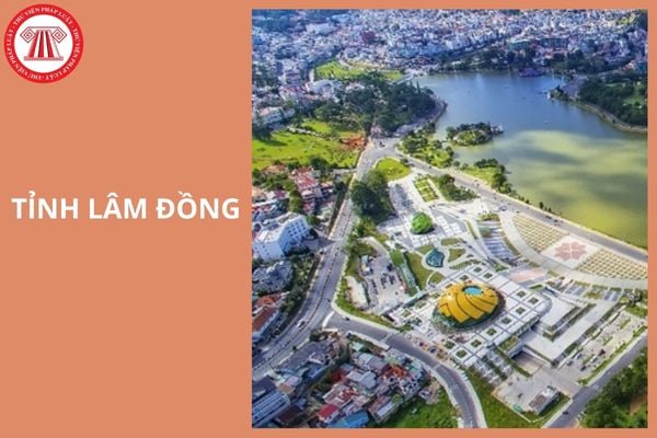 Diện tích tỉnh Lâm Đồng hiện nay là bao nhiêu?