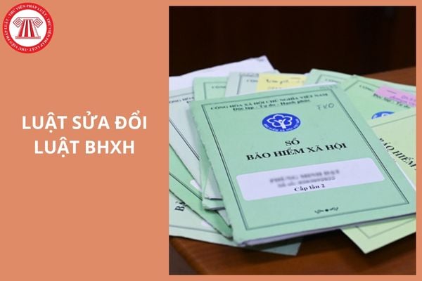 Hỏi đáp Pháp luật