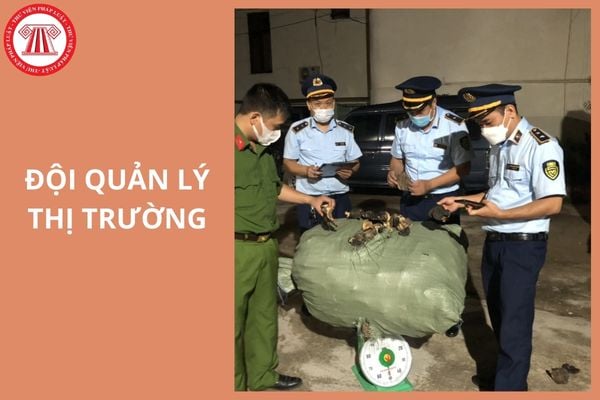 Hỏi đáp Pháp luật
