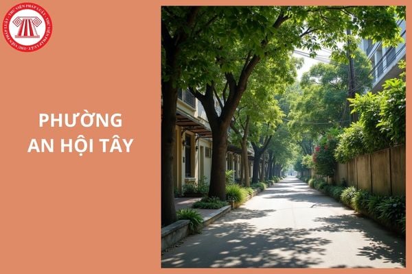 Phường An Hội Tây TP Hồ Chí Minh thuộc vùng mấy từ 2026?