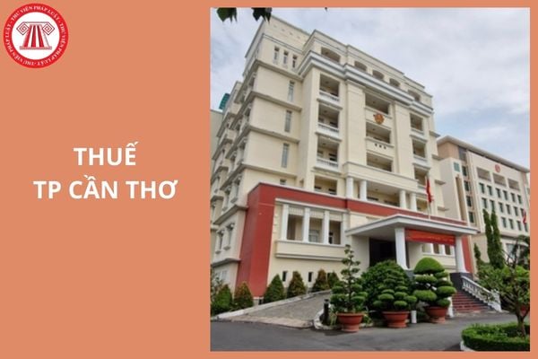 Hỏi đáp Pháp luật