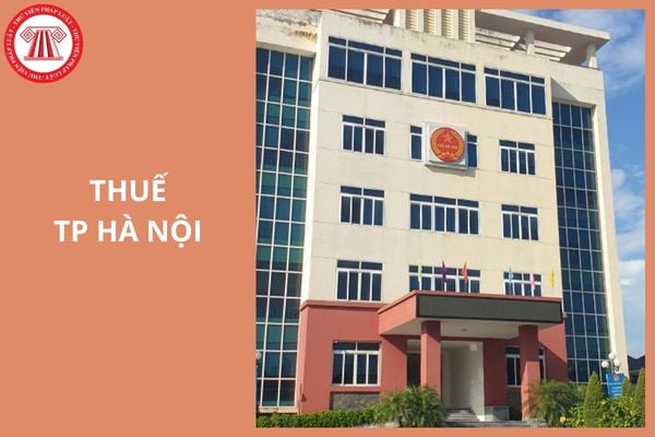 Hỏi đáp Pháp luật