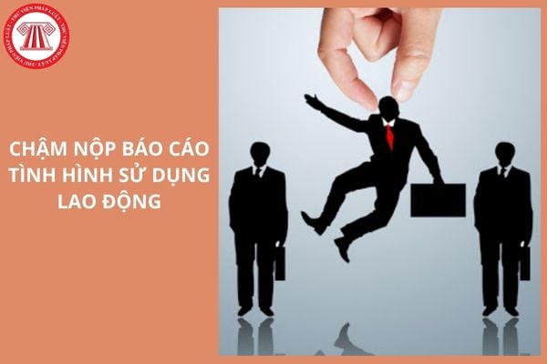 Hỏi đáp Pháp luật