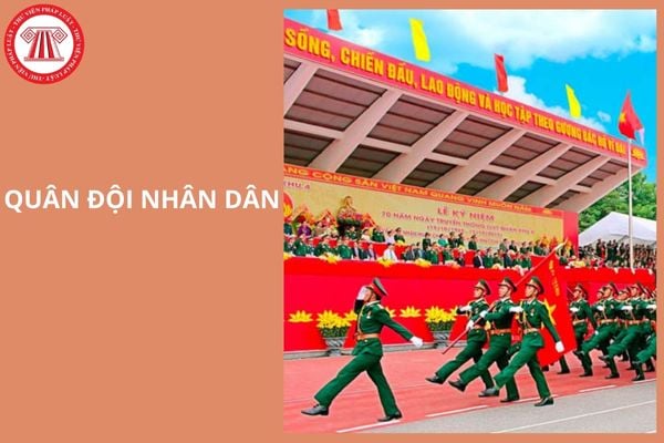 Hỏi đáp Pháp luật