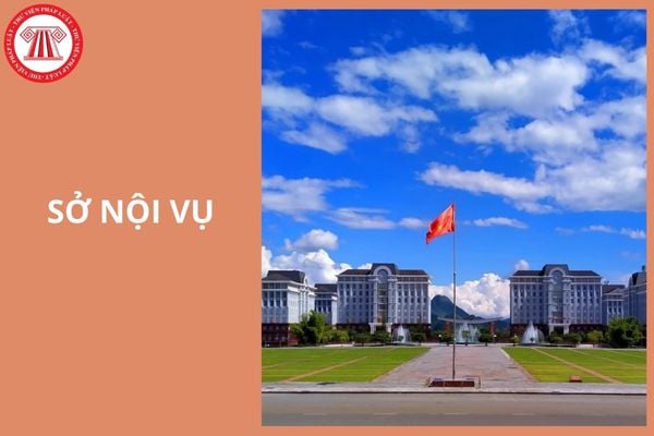 Hỏi đáp Pháp luật