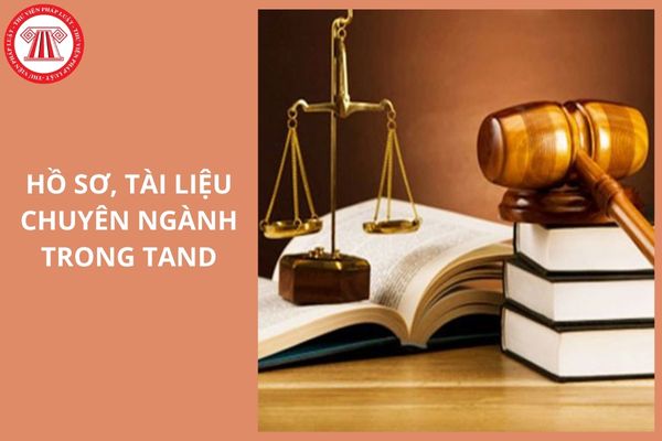 Thời hạn lưu trữ hồ sơ tài liệu chuyên ngành trong Tòa án nhân dân là bao lâu?