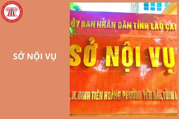Hỏi đáp Pháp luật
