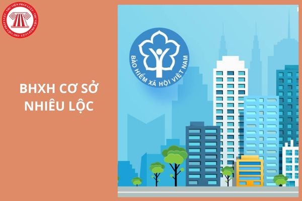 Hỏi đáp Pháp luật