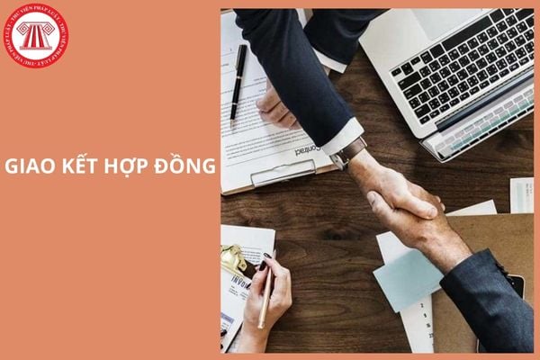 Hỏi đáp Pháp luật