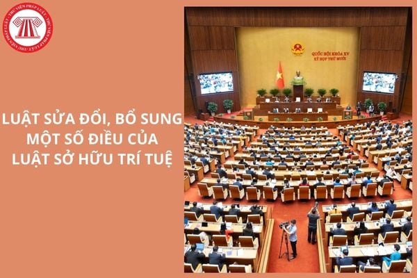 Hỏi đáp Pháp luật
