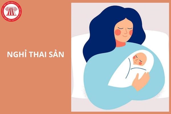 Hỏi đáp Pháp luật