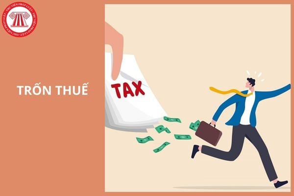Hỏi đáp Pháp luật