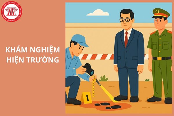 Hỏi đáp Pháp luật