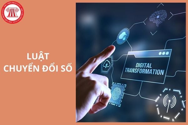 Hỏi đáp Pháp luật