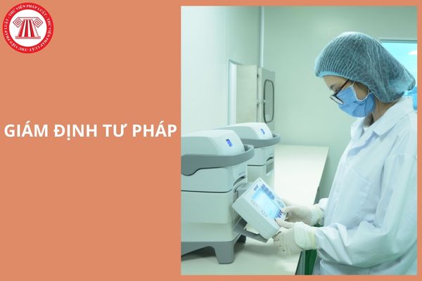 Hỏi đáp Pháp luật