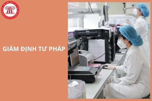 Hỏi đáp Pháp luật