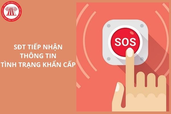 Hỏi đáp Pháp luật